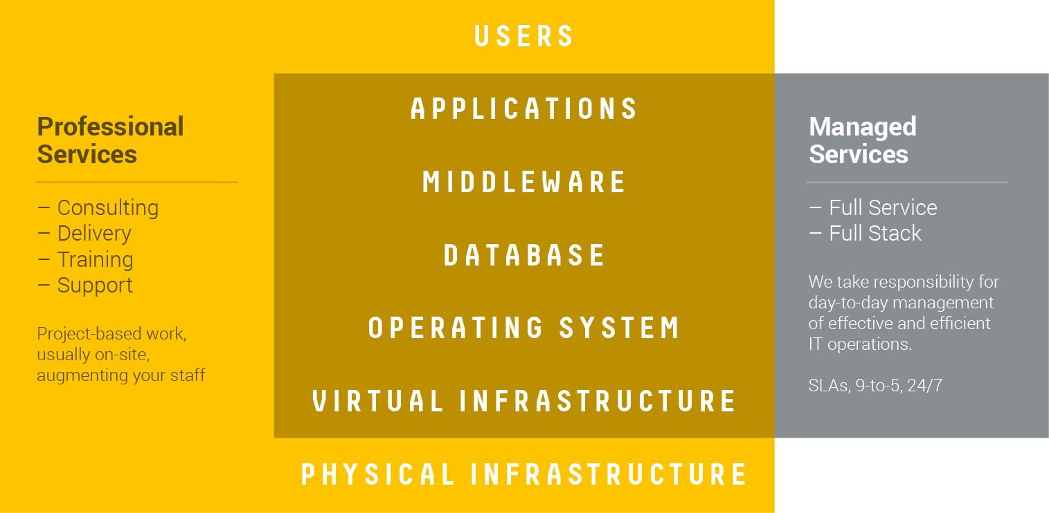 Professional vs Managed Services